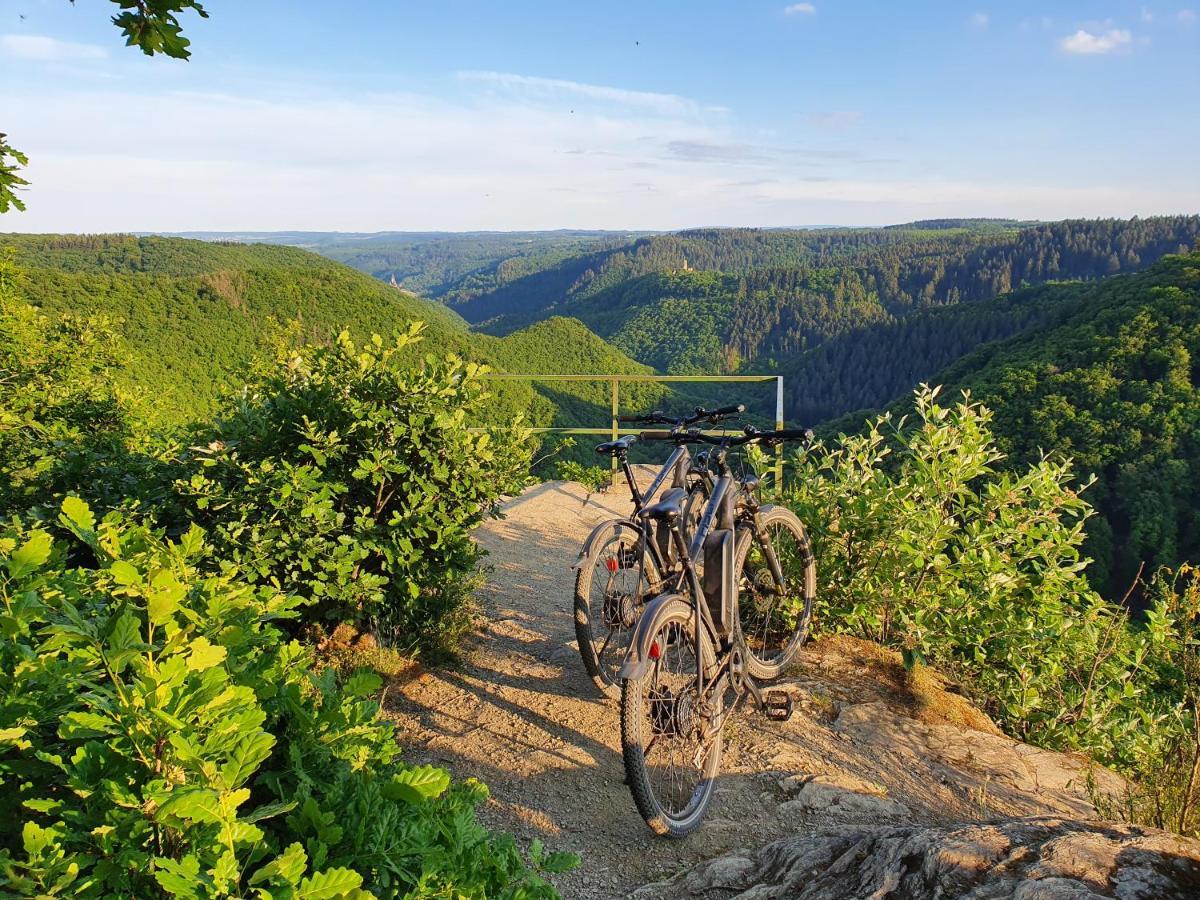 Moselfeeling Co2Frei Lejlighed Cochem Eksteriør billede